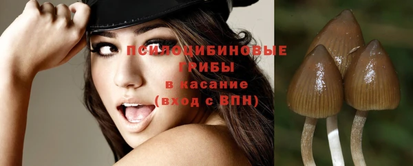 крисы Каменногорск