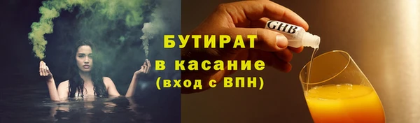 соль ск Каменка